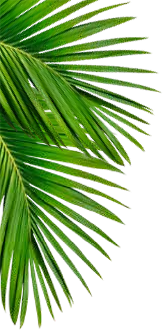 Folha Decorativa